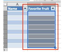 Como fazer um formulário no Excel 25