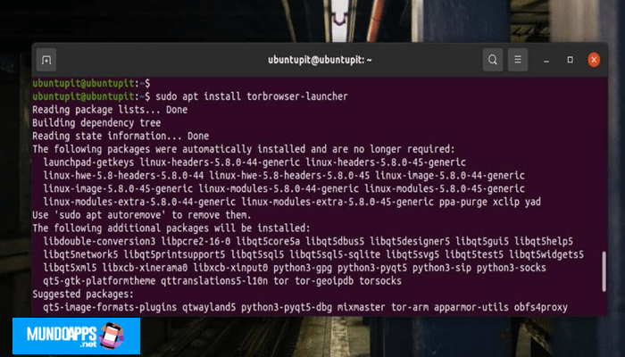 Installieren Sie Tor Browser über das Linux-Repository