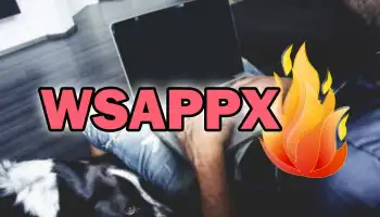 O que é WSAPPX
