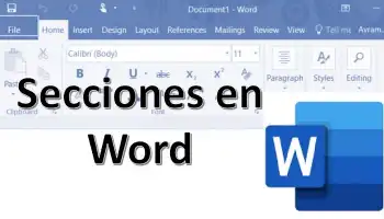 Abschnitte in Microsoft Word